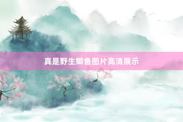 真是野生鲫鱼图片高清展示