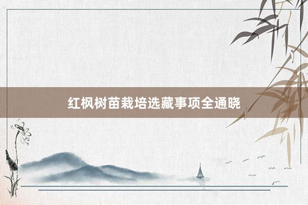 红枫树苗栽培选藏事项全通晓