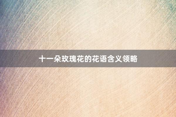 十一朵玫瑰花的花语含义领略
