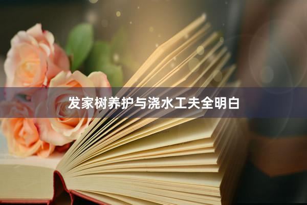 发家树养护与浇水工夫全明白