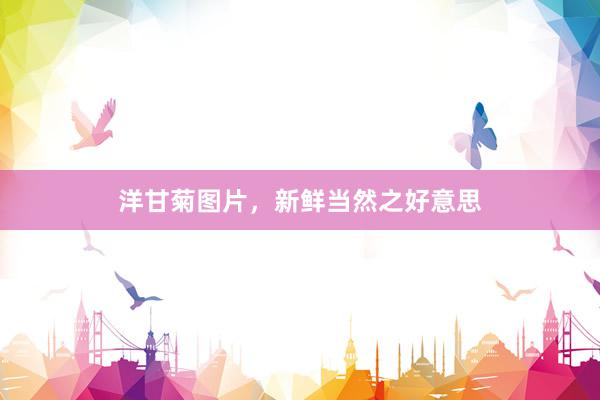 洋甘菊图片,新鲜当然之好意思