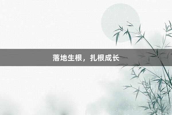 落地生根，扎根成长